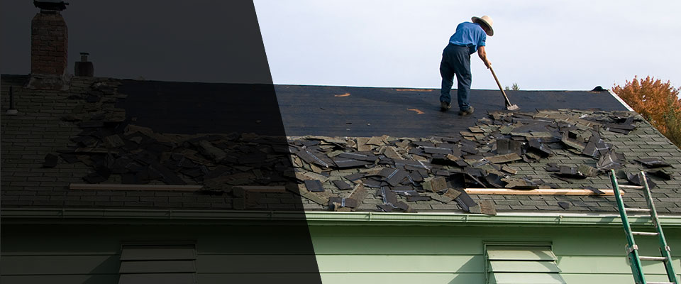 Palm Harbor Roofing Contractors